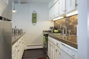 101 Ryan Gulch Ct, Silverthorne, CO 80498 - Photo 11