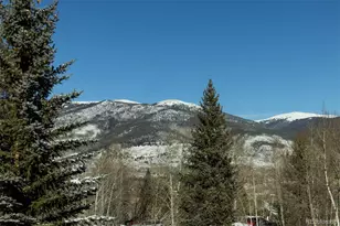 101 Ryan Gulch Ct, Silverthorne, CO 80498 - Photo 25