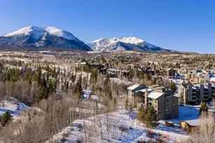 101 Ryan Gulch Ct, Silverthorne, CO 80498 - Photo 35