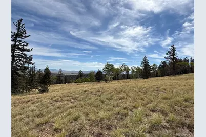 350 Kaufman Road, Hartsel, CO 80449 - Photo 5