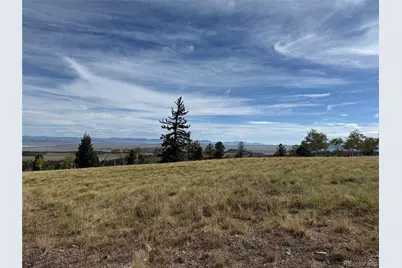 350 Kaufman Road, Hartsel, CO 80449 - Photo 3