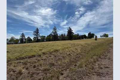 350 Kaufman Road, Hartsel, CO 80449 - Photo 25
