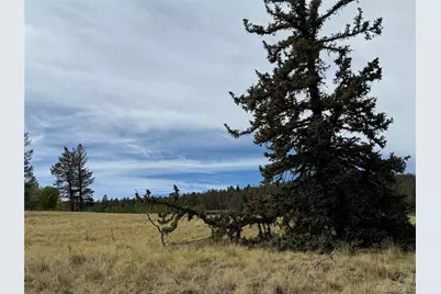 350 Kaufman Road, Hartsel, CO 80449 - Photo 21