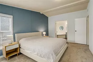 455 Clio Ave, Palmer Lake, CO 80133 - Photo 19