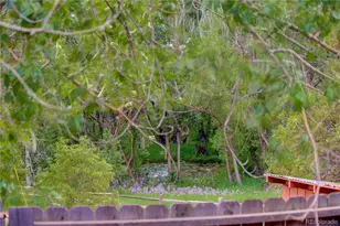 455 Clio Ave, Palmer Lake, CO 80133 - Photo 29