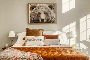 31276 Stone Canyon Rd, Evergreen, CO 80439 - Photo 25