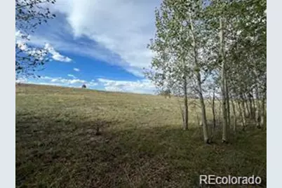 1599 Campfire Road, Hartsel, CO 80449 - Photo 21