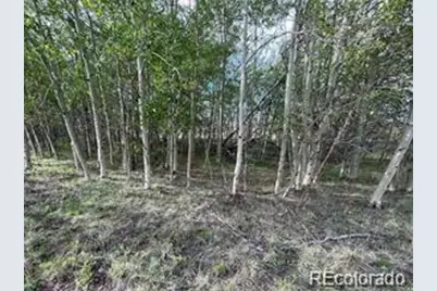 1599 Campfire Road, Hartsel, CO 80449 - Photo 11