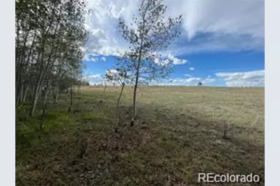 1599 Campfire Road, Hartsel, CO 80449 - Photo 19