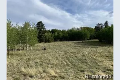 1599 Campfire Road, Hartsel, CO 80449 - Photo 35