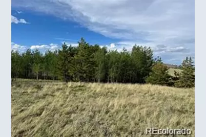 1599 Campfire Road, Hartsel, CO 80449 - Photo 17