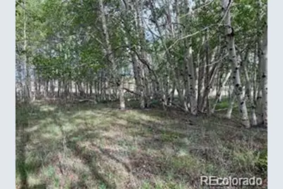 1599 Campfire Road, Hartsel, CO 80449 - Photo 25