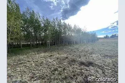 1599 Campfire Road, Hartsel, CO 80449 - Photo 29