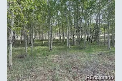 1599 Campfire Road, Hartsel, CO 80449 - Photo 23