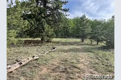 1599 Campfire Road, Hartsel, CO 80449 - Photo 15