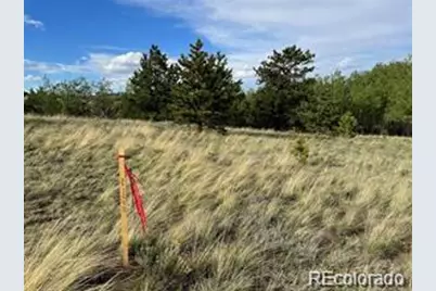 1599 Campfire Road, Hartsel, CO 80449 - Photo 27