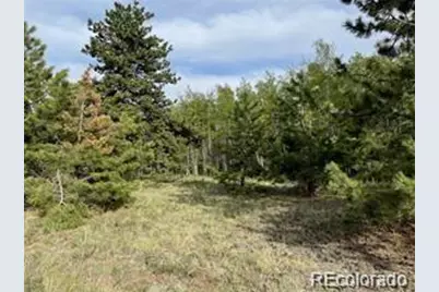 1599 Campfire Road, Hartsel, CO 80449 - Photo 5