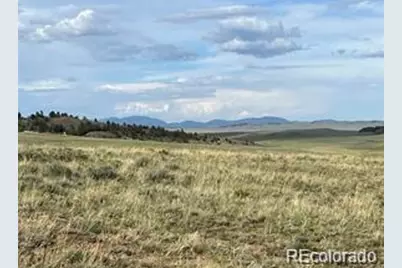 1599 Campfire Road, Hartsel, CO 80449 - Photo 33