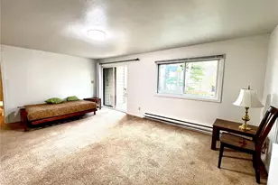6722 Ryan Gulch Rd, Silverthorne, CO 80498 - Photo 35