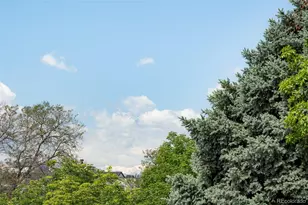 374 Milwaukee St, Denver, CO 80206 - Photo 37