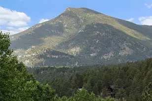 4252 S Meadow Brook Ln, Evergreen, CO 80439 - Photo 41