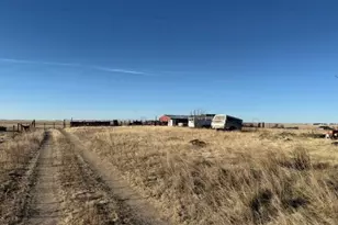 1778 Co Rd 2B, Rush, CO 80833 - Photo 9