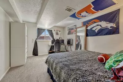 303 Gordon Drive, Castle Rock, CO 80104 - Photo 33