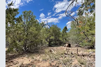 4286 Fallen Tree, Crestone, CO 81131 - Photo 3