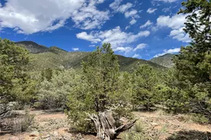 4286 Fallen Tree, Crestone, CO 81131 - Photo 1