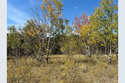 890 McDowell Drive, Jefferson, CO 80456 - Photo 5