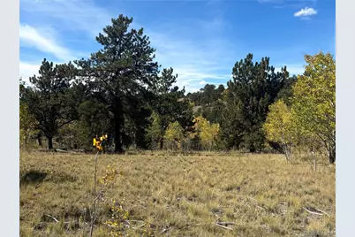 890 McDowell Drive, Jefferson, CO 80456 - Photo 3