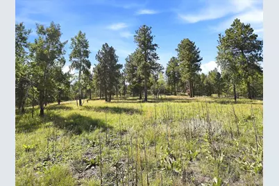 000 Molly Drive, Conifer, CO 80433 - Photo 11