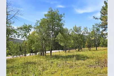 000 Molly Drive, Conifer, CO 80433 - Photo 5