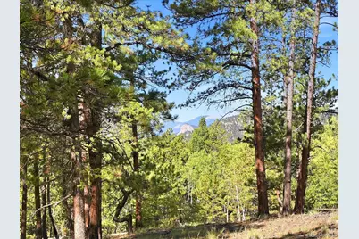 000 Molly Drive, Conifer, CO 80433 - Photo 1
