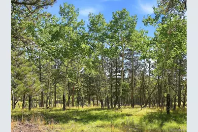 000 Molly Drive, Conifer, CO 80433 - Photo 15