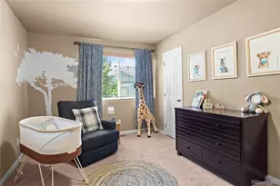 17888 Coral Burst St, Parker, CO 80134 - Photo 21