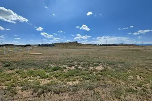 20785 El Nino Pt, Fountain, CO 80817 - Photo 49