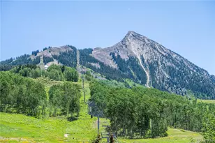 500 Gothic Rd, Mt Crested Butte, CO 81225 - Photo 17