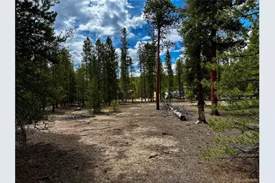 644 Birch Drive, Twin Lakes, CO 80461 - Photo 1