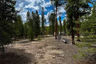 644 Birch Dr, Twin Lakes, CO 80461 - Photo 1