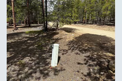 644 Birch Drive, Twin Lakes, CO 80461 - Photo 15