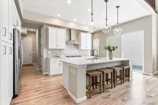 10537 Oncilla Ln, Lone Tree, CO 80124 - Photo 7