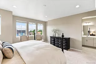 10537 Oncilla Ln, Lone Tree, CO 80124 - Photo 15