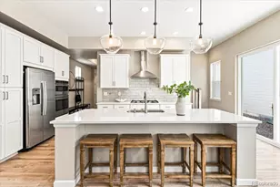 10537 Oncilla Ln, Lone Tree, CO 80124 - Photo 1
