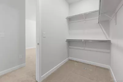 2345 Drummle Drive, Castle Rock, CO 80104 - Photo 35