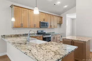 2345 Drummle Dr, Castle Rock, CO 80104 - Photo 19