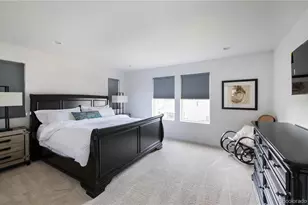 562 W 173rd, Broomfield, CO 80023 - Photo 29