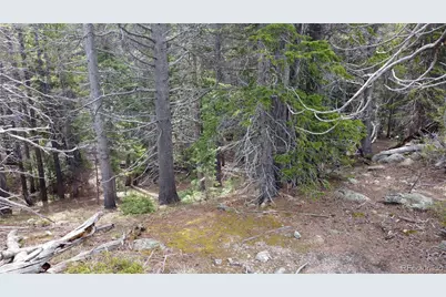 000 Brook Drive, Idaho Springs, CO 80452 - Photo 17