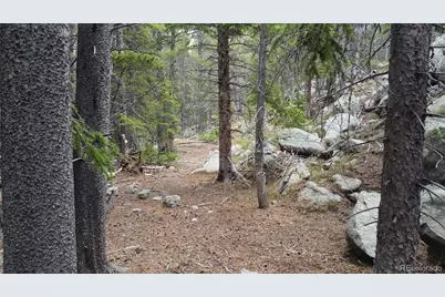 000 Brook Drive, Idaho Springs, CO 80452 - Photo 11