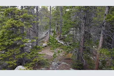 000 Brook Drive, Idaho Springs, CO 80452 - Photo 15